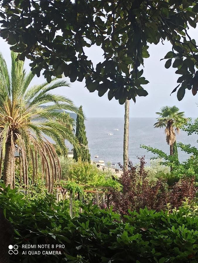 Apartment Cepic Herceg Novi Exteriör bild