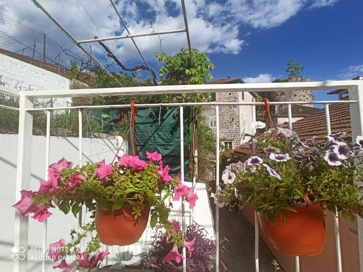 Apartment Cepic Herceg Novi Exteriör bild